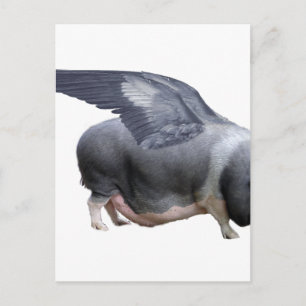 Flugschwein Postkarte