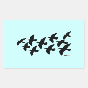 Flugtauben Rechteckiger Aufkleber