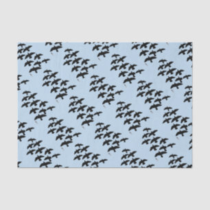 Flugtauben Seidenpapier
