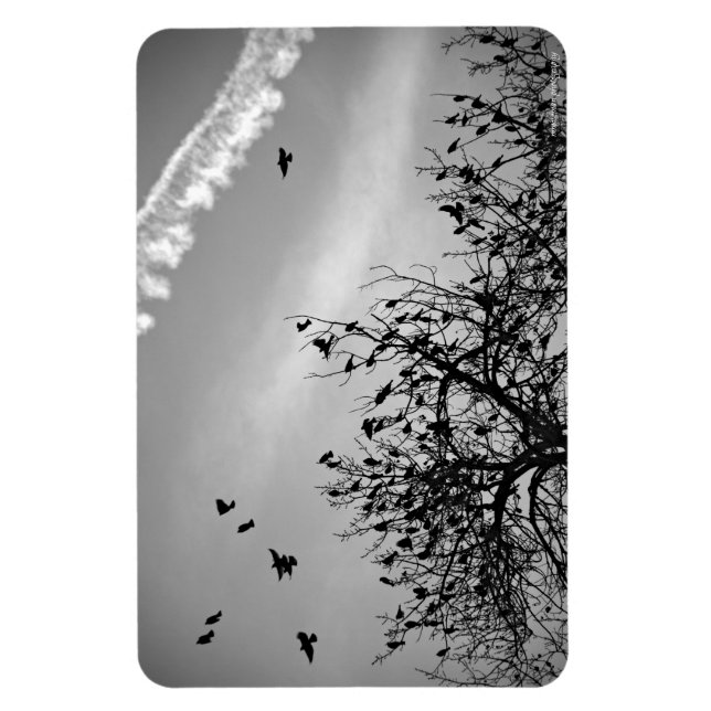 Flugweg Magnet (Vertikal)