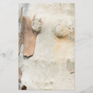 Flugzeug-Baumtarnung sieht wie Rinde-Muster aus Flyer