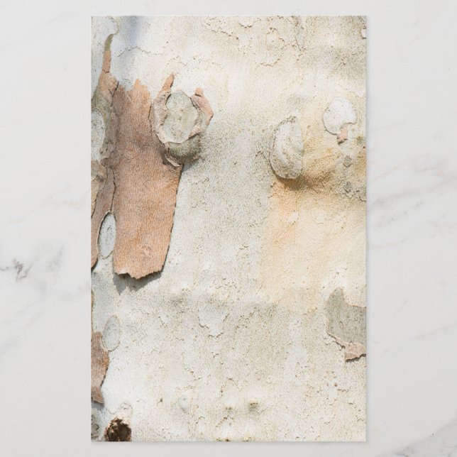 Flugzeug-Baumtarnung sieht wie Rinde-Muster aus Flyer (Vorne)