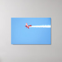 Flugzeug der Luftshow