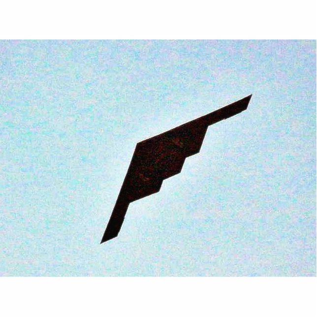 Flugzeug-Heimlichkeits-Bomber Freistehende Fotoskulptur (Vorne)