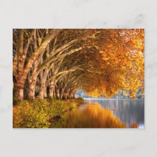 Flugzeug im Herbst über einem See Postkarte