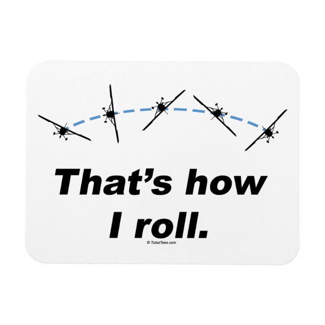 Flugzeug Magnet (Horizontal)