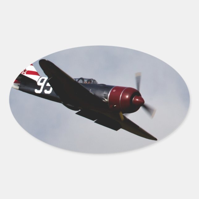 Flugzeug Ovaler Aufkleber (Vorderseite)