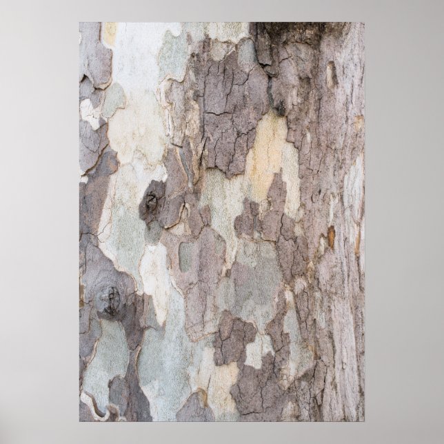 Flugzeug Poster (Vorne)