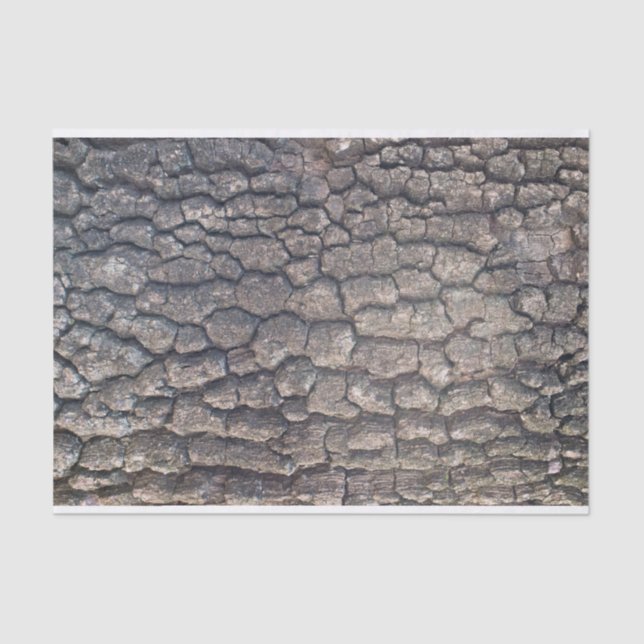 Flugzeug Seidenpapier (Vorderseite)