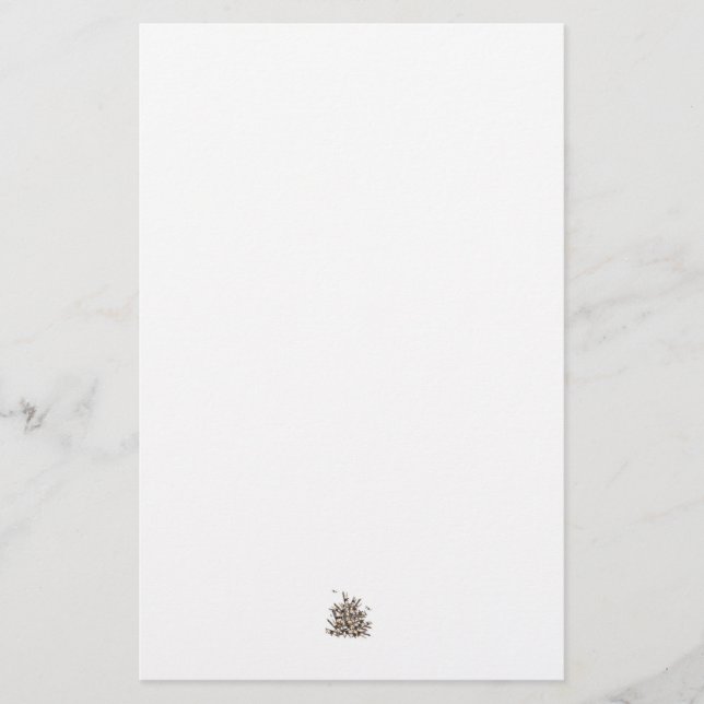 Flugzeug stationär briefpapier (Vorderseite)