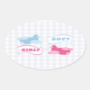 Flugzeuge und Banner Gingham Gender Reveal Party Ovaler Aufkleber