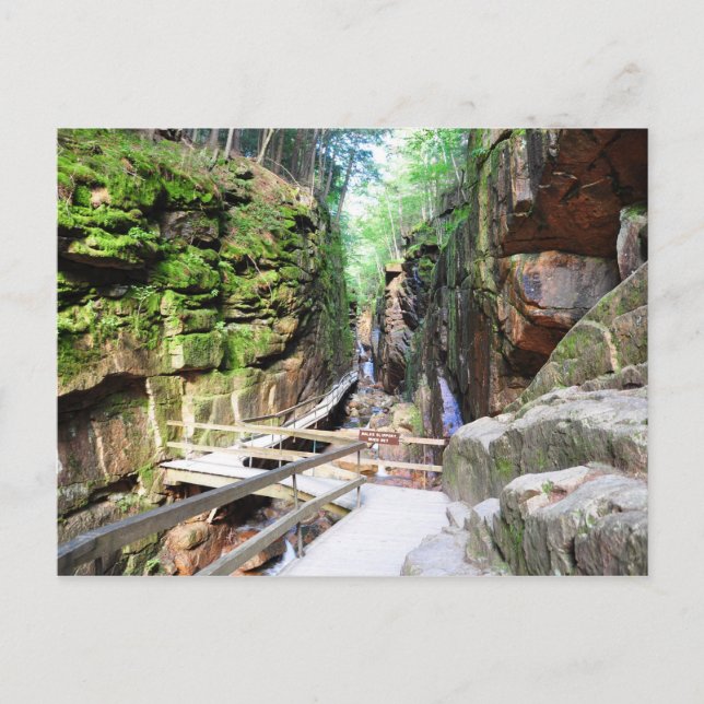Flume Gorge New Hampshire Postcard Postkarte (Vorderseite)