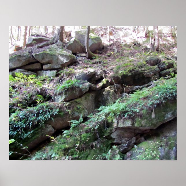 Flume Gorge Poster (Vorne)