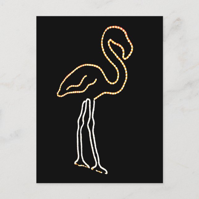 Fluorescent Flamingo Postkarte (Vorderseite)