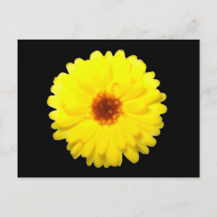 Fluorescent Marigold Postcard Postkarte