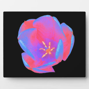 Fluorescent Tulip Plaque Fotoplatte