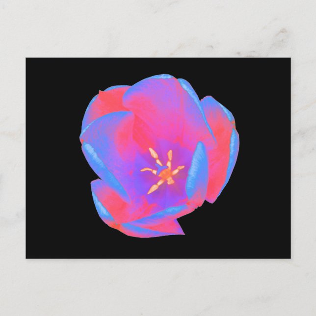 Fluorescent Tulip Postcard Postkarte (Vorderseite)