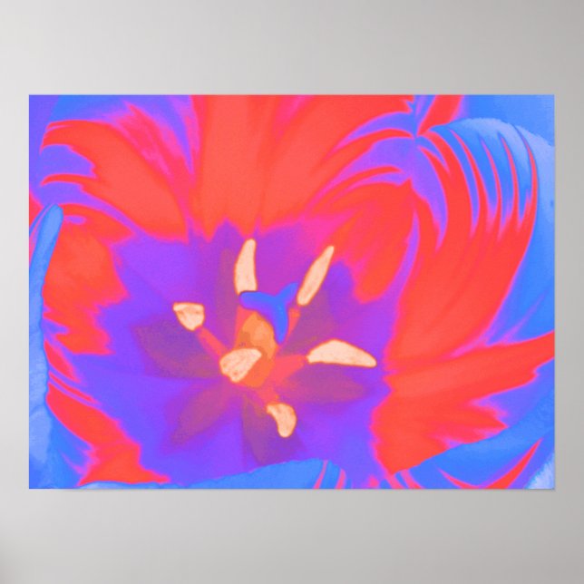 Fluorescent Tulip Poster (Vorne)
