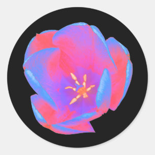Fluorescent Tulip Round Stickers