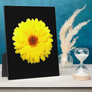 Fluorescent Yellow Marigold Plaque Fotoplatte