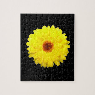 Fluoreszenz-Yellow-Marigold-Puzzle