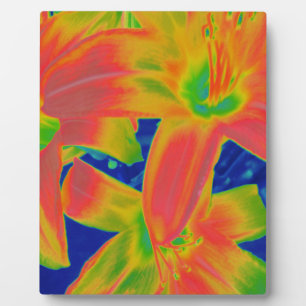 fluoreszierende Blume Fotoplatte