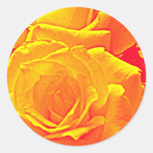 fluoreszierende Rose orange Runder Aufkleber