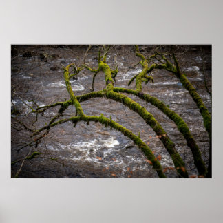 Fluss Bran - Dunkeld Einsiedelei Poster