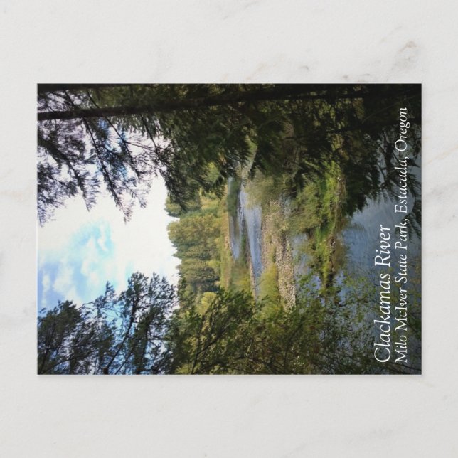 Fluss Clackamas, Oregon Postkarte (Vorderseite)