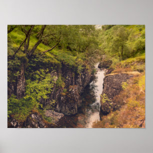 Fluss Coe Wasserfall Poster