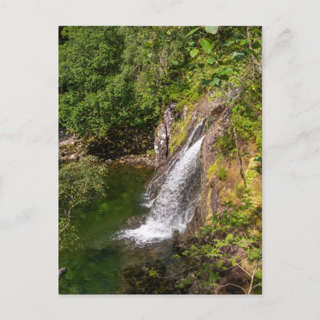 Fluss Coe Wasserfall Postkarte (Vorderseite)