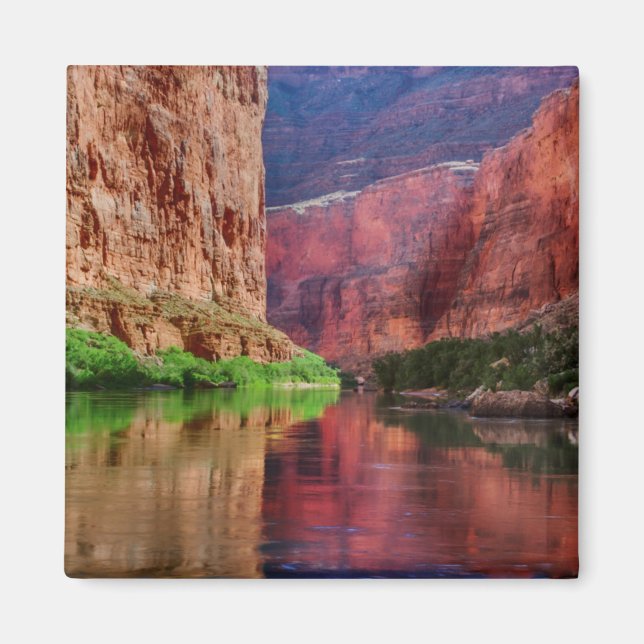 Fluss Colorado in Grand Canyon, AZ Magnet (Vorne)