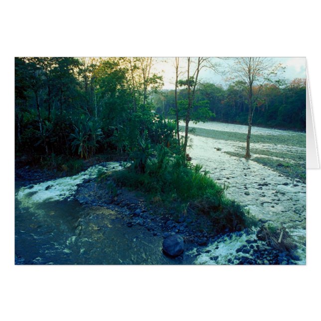 Fluss/Costa Rica (Vorderseite (Horizontal))