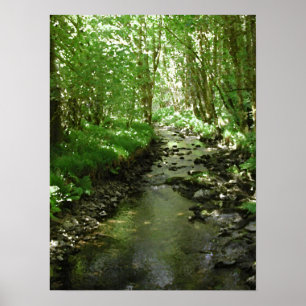 Fluss, der Waldland durchfließt Poster