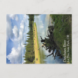 Fluss Deschutes, Oregon Postkarte