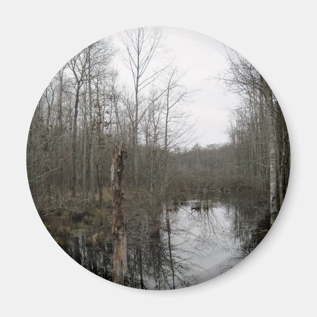 Fluss durch die Wildnis Magnet (Vorne)