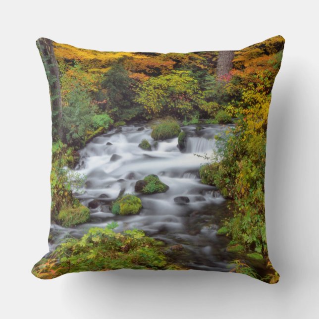 Fluss durch Wald, Fall, Oregon Kissen (Vorderseite)