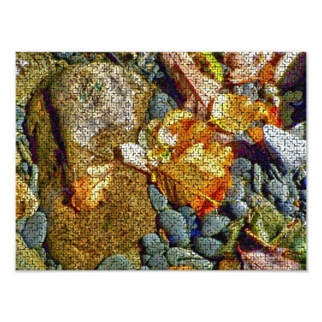 FLUSS FOTODRUCK (Vorne)