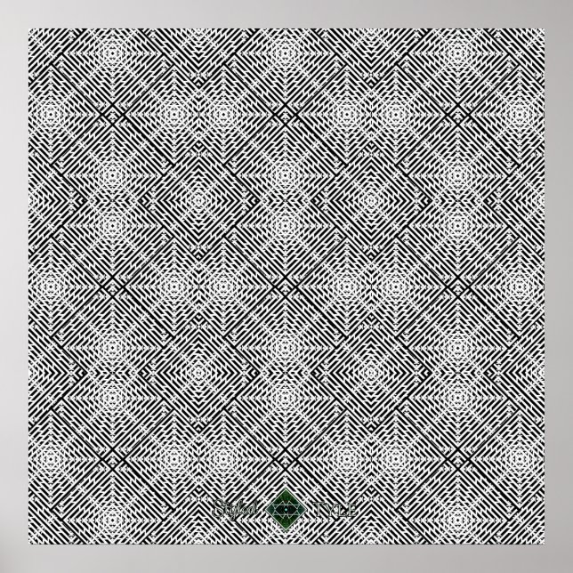 Fluss-Illusion Poster (Vorne)