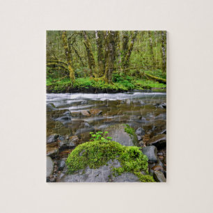 Fluss im grünen Wald, Oregon