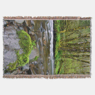 Fluss im grünen Wald, Oregon Decke