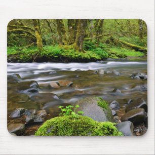 Fluss im grünen Wald, Oregon Mousepad