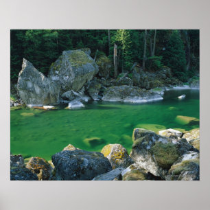 Fluss im Nordkaskaden-Nationalpark Poster