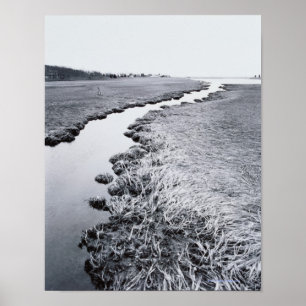 Fluss in der Nähe des Waldes Poster