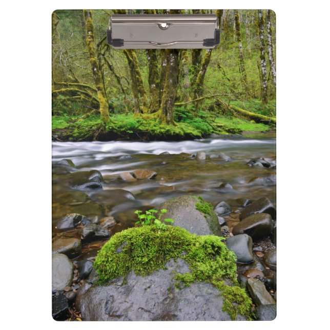 Fluss in grünem Wald, Oregon Klemmbrett (Vorderseite)