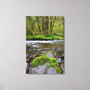 Fluss in grünem Wald, Oregon Leinwanddruck