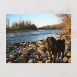 Fluss Mississppi - Guten Morgen Postkarte