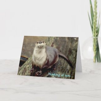 Fluss Otter, Denken Sie an Sie... Karte