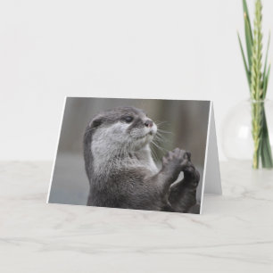 Fluss-Otter Karte