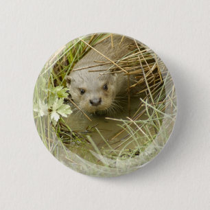 Fluss-Otter-Lebensraum-Knopf Button